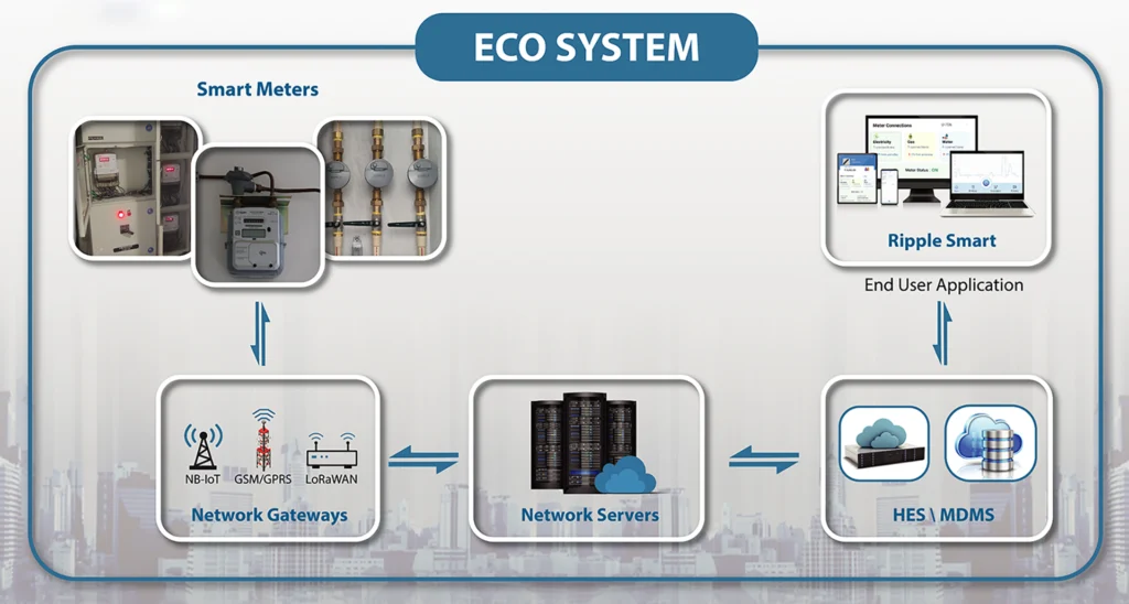 Ripple Eco System 1